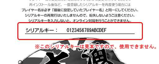 簡易マニュアルの、シリアルキー部分のみ拡大